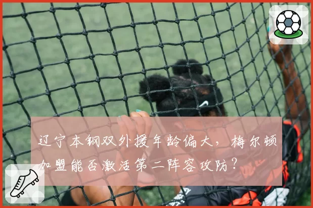 辽宁本钢双外援年龄偏大,梅尔顿加盟能否激活第二阵容攻防?
