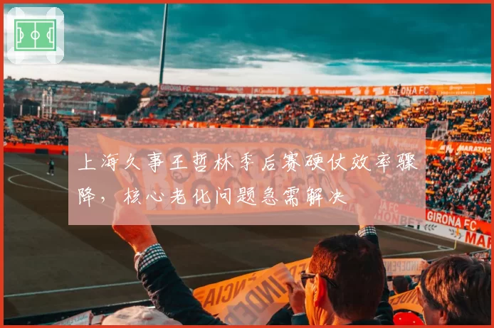 上海久事王哲林季后赛硬仗效率骤降，核心老化问题急需解决